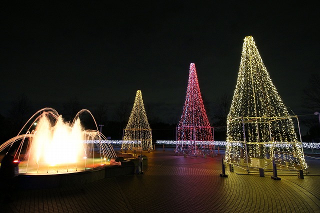 寺ケ池公園クリスマスイルミネーション2015