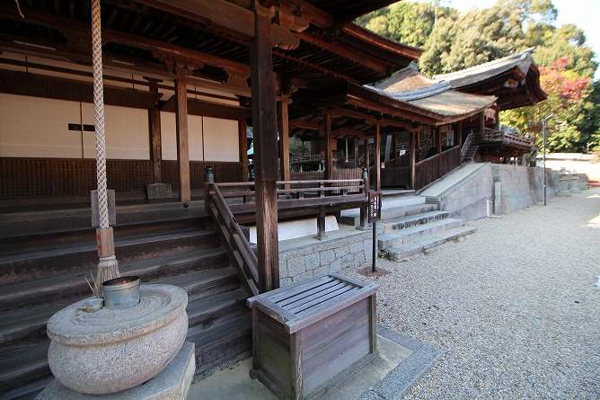 天野山金剛寺で300年ぶりに行われた金堂（重要文化財）の解体工事が完了しました。