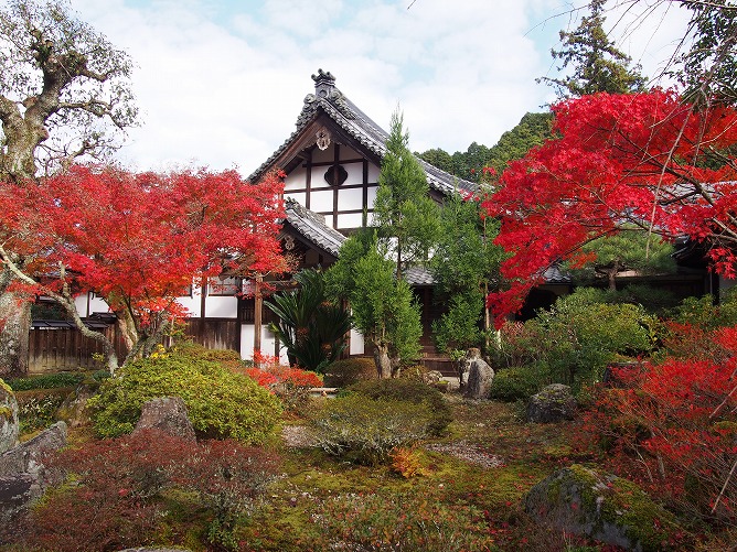 延命寺の紅葉がちょうど見頃となっています。