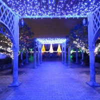 寺ケ池公園クリスマスイルミネーション2015